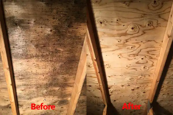 water damage restoration service Ashley